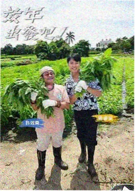 厨神争霸赛 美食竞技综艺